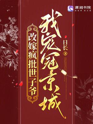 改嫁疯批世子爷，我宠冠京城
