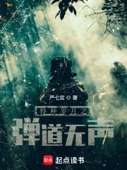 特种岁月之弹道无声